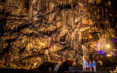 International Year of Caves and Karst | Majestic Caverns