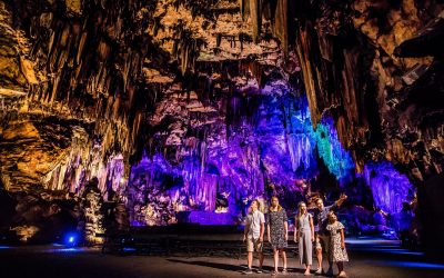 Homeschool Discount Days