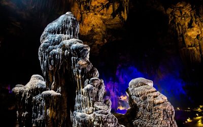 Regional IYCK Art Contest Winners