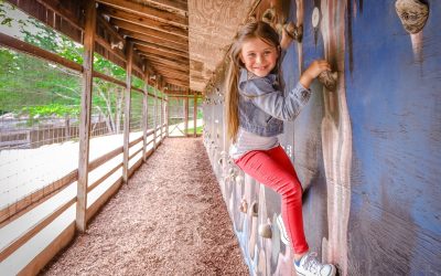 Outdoor Winter Birthday Parties at Majestic Caverns