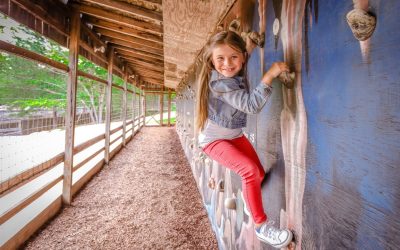 Educational Attractions