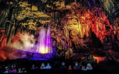 How to Entertain the Whole Family During Spring Break