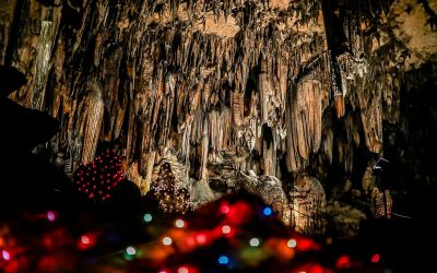 Celebrate the Light of Christmas at Adventus: A Perfect Holiday Event for Christian Families and Churches