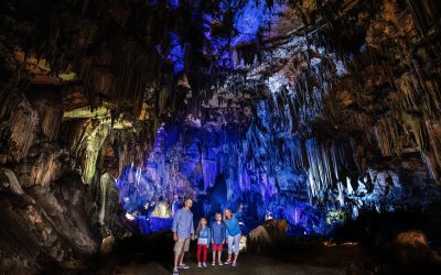 More Than a Cave: Why Majestic Caverns Is a Full Family Adventure Park
