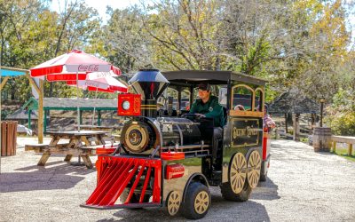 Presidents Day Weekend: Visit the Cave America Put on Record First