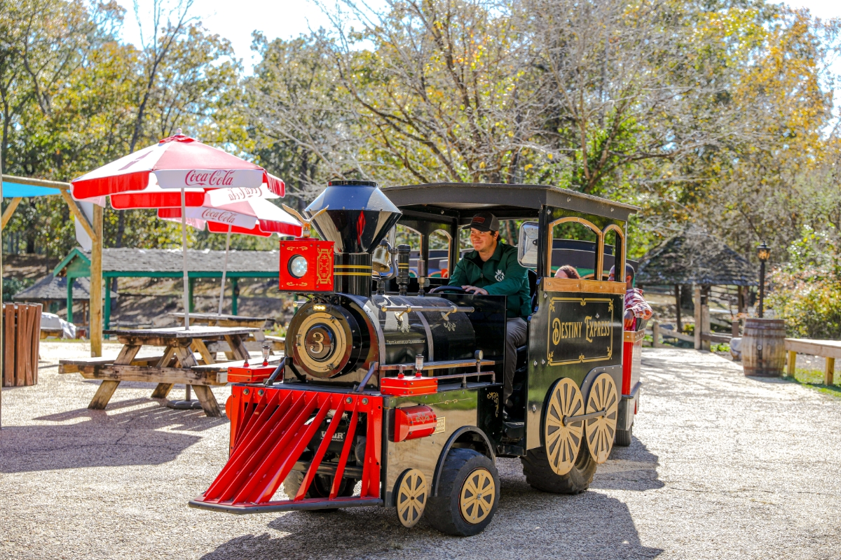 Destiny_Express_Park_Train_roma_Attraction