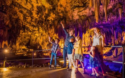 Why Families Choose Family-Owned Over State-Funded Attractions