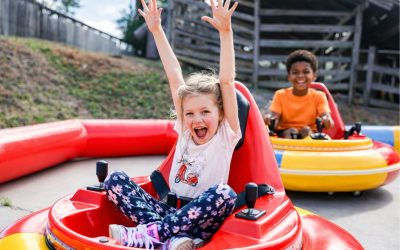 Classic Family Fun Has Arrived: Bumper Cars at Majestic Caverns