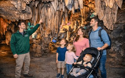 Free Admission Ages 3 and Under: Why This Changes Family Travel Math